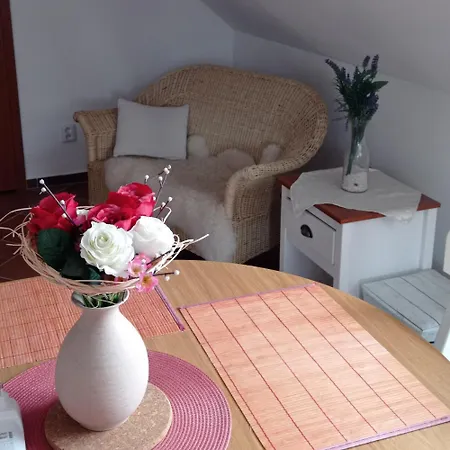 Apart Otel U Orlickeho Jezera - Kamenice Klucenice