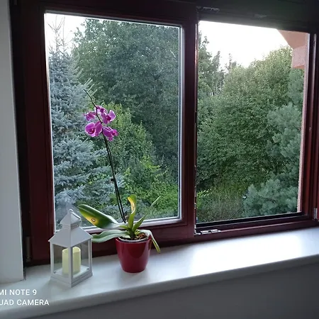 U Orlickeho Jezera - Kamenice Lejlighedshotel 3*